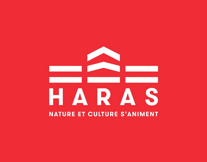 Престианни оскорблен обвинениями в расизме со стороны Винисиуса. Форвард Бенфики извинился перед командой, но заявил, что не оскорблял бразильца (Record)